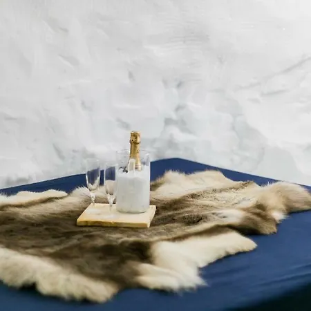 Hotel Blacksheep Village Igloo